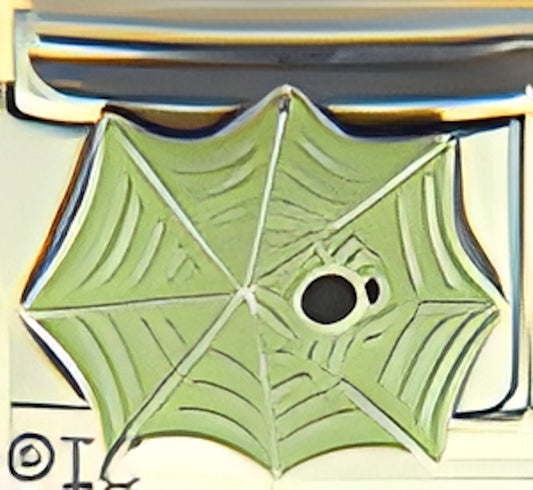 Spooky Spider on Web
