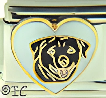 Rottweiler in White Heart