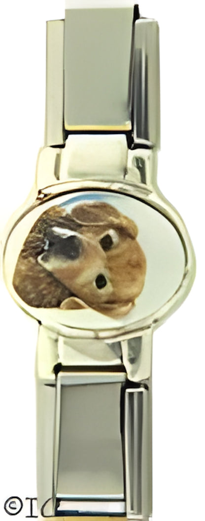 Sterling Silver Oval Centerpiece with Golden Retriever