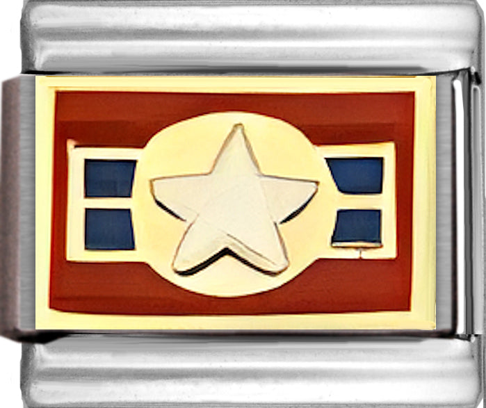 Air Force Insignia
