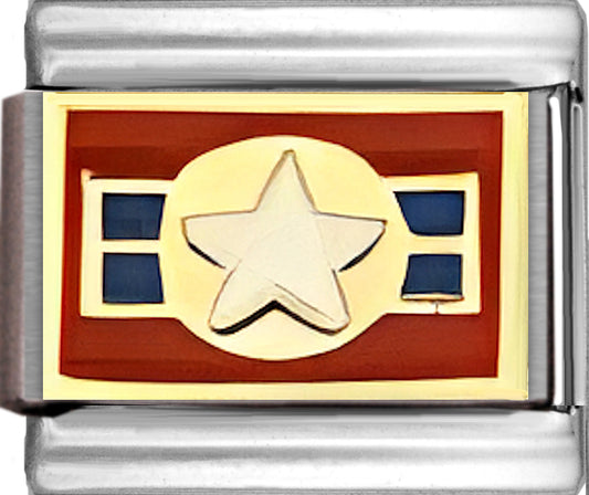 Air Force Insignia