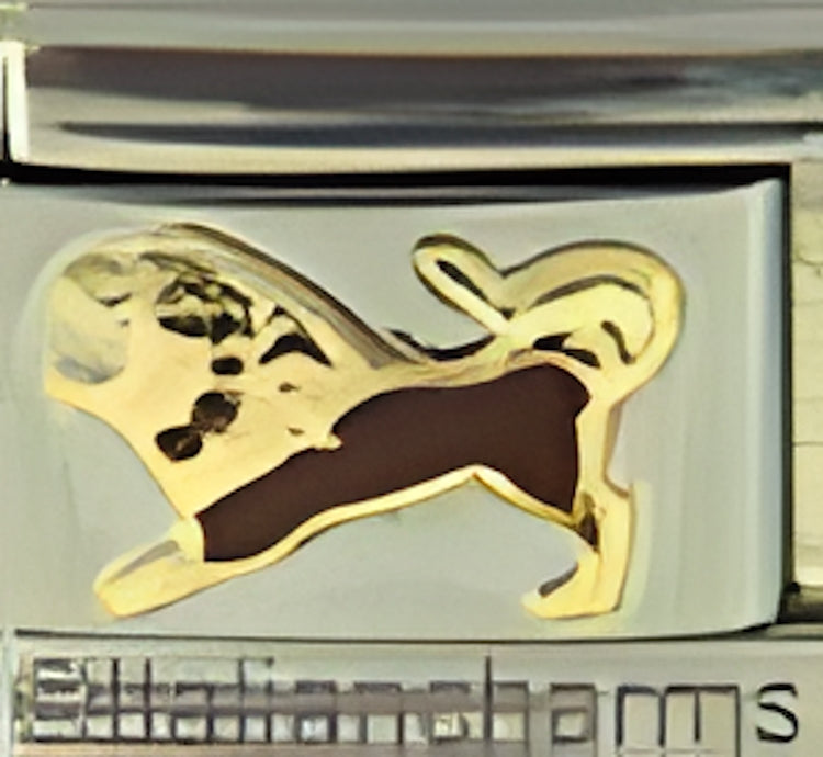 Brown Lion