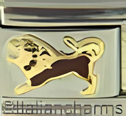 Brown Lion