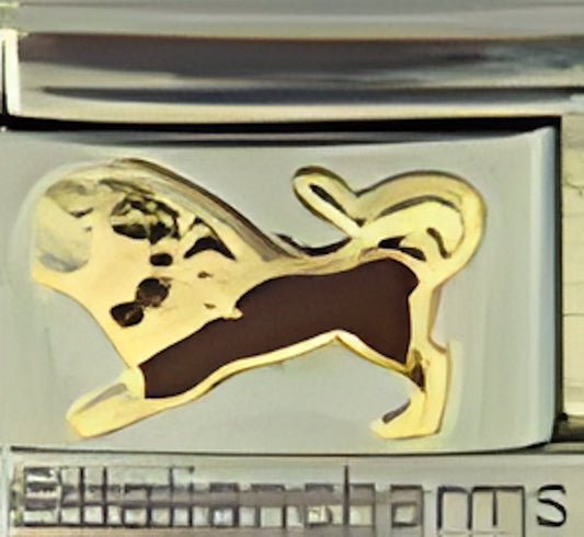 Brown Lion