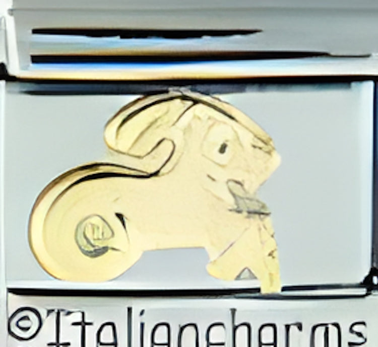 Gold Capricorn Zodiac December 22- January 19