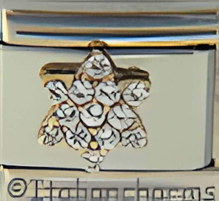 CZ Star of David