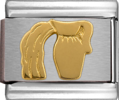 Gold Aquarius Zodiac Jan 20-Feb 18