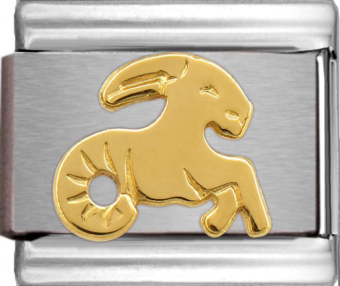 Gold Capricorn Zodiac Dec 22- Jan 19
