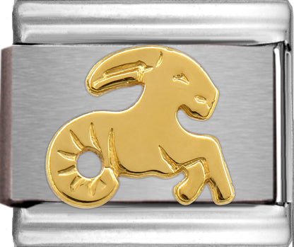 Gold Capricorn Zodiac Dec 22- Jan 19