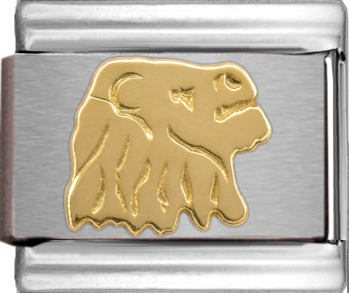 Gold Leo Zodiac July 23-Aug 22