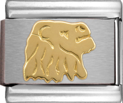 Gold Leo Zodiac July 23-Aug 22