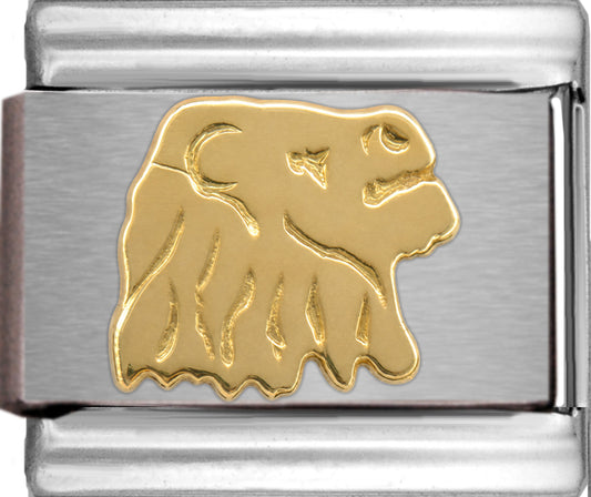 Gold Leo Zodiac July 23-Aug 22