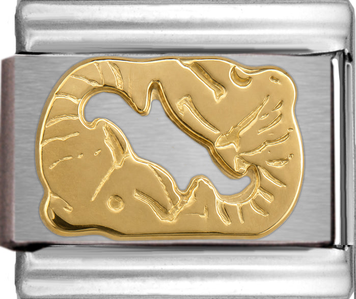 Gold Pisces Zodiac Feb 19-Mar 20