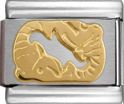 Gold Pisces Zodiac Feb 19-Mar 20