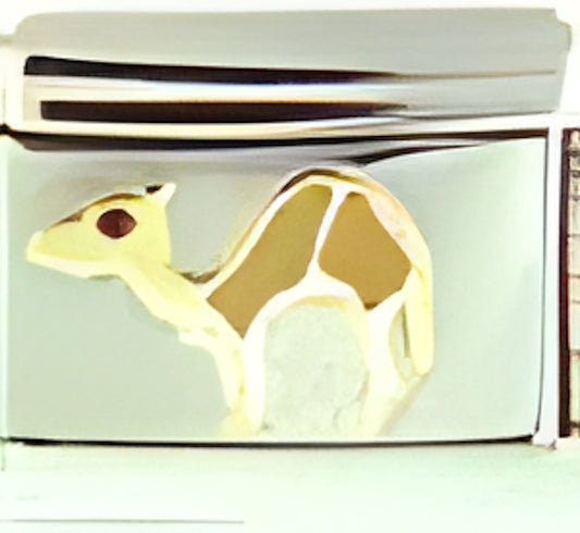Brown Camel