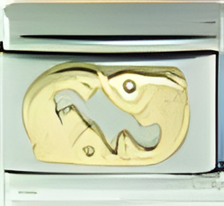 Gold Pisces zodiac Feb 19-March 20