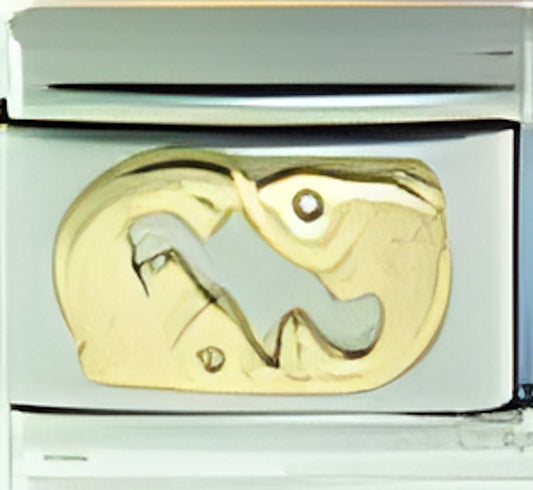 Gold Pisces zodiac Feb 19-March 20