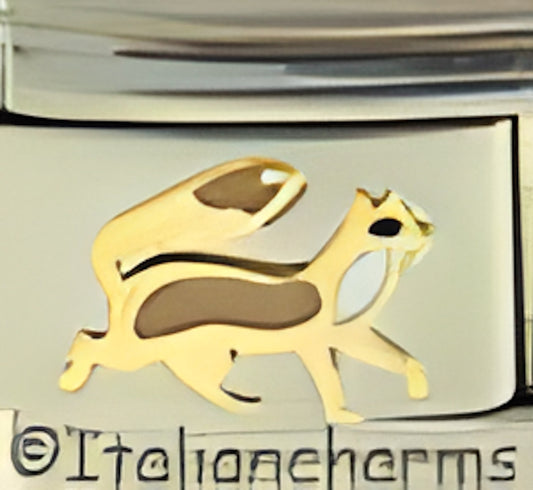 Tan and White Fox