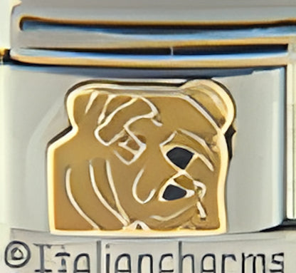 Brown Bull Dog