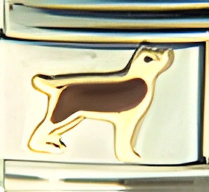 Standing Brown Dog