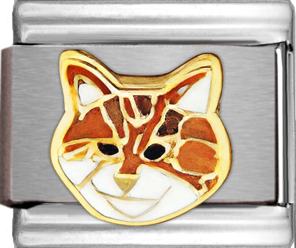 Orange Brown and White Tabby Cat