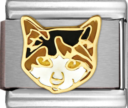 Calico Cat Breed