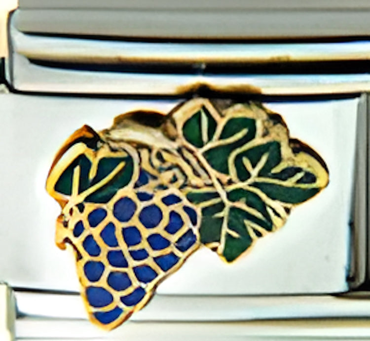 Grapes and Grape Leaves