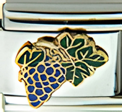 Grapes and Grape Leaves