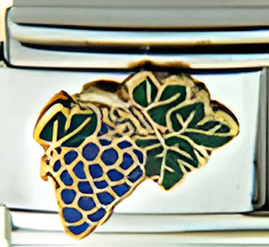 Grapes and Grape Leaves