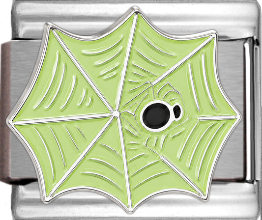 Spooky Spider on Web