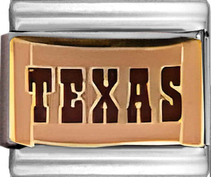 Texas Sign