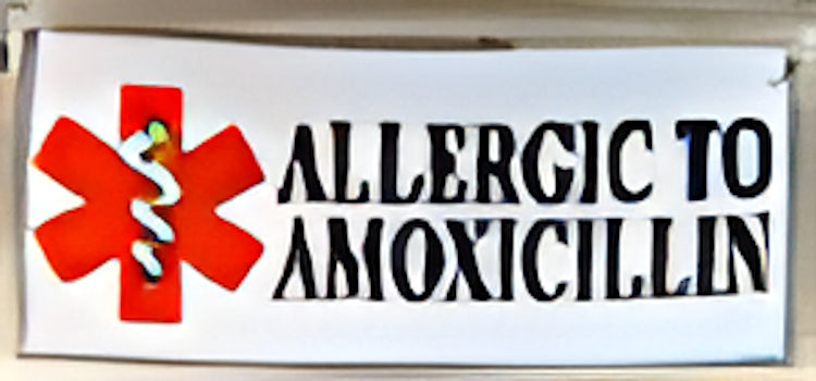 Superlink Allergic to Amoxicillin Photo Charm