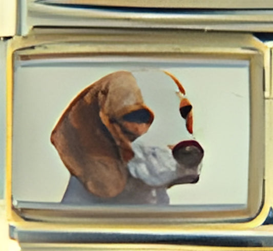 Beagle Dog Photo Photo Charm