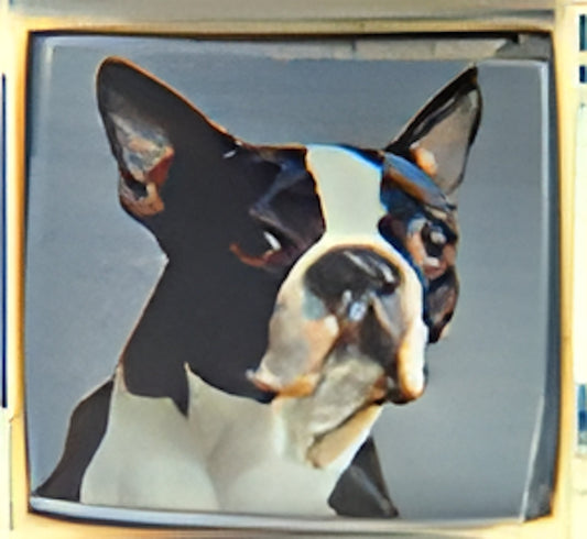 Boston Terrier with Pink Ears Photo Charm