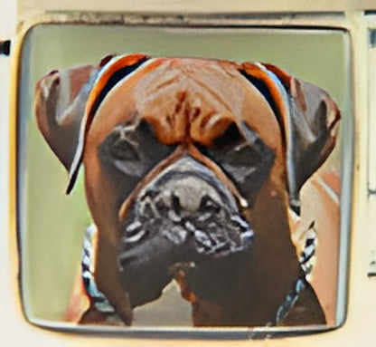 Boxer on Green Photo Charm