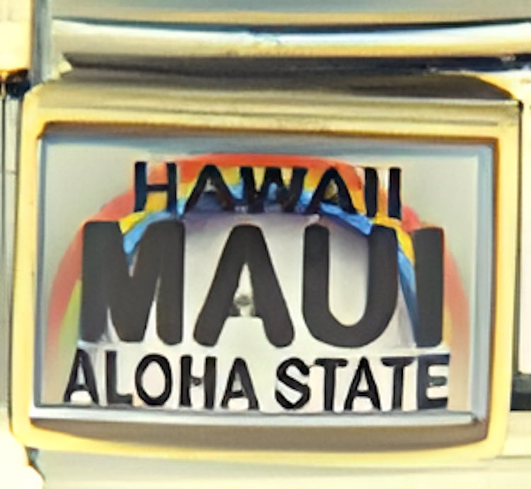 Hawaii Maui Aloha State License Plate Photo Charm