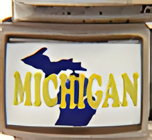 Michigan State Outline on White Photo Charm