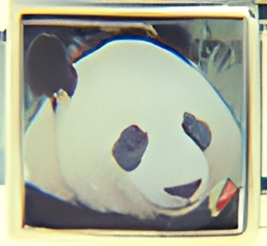 Panda Bear Face Photo Charm