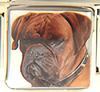 Red Boxer Photo Charm