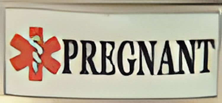 Superlink Pregnant Photo Charm