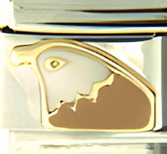 Bald Eagle with Brown