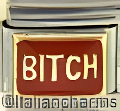 Bitch on Red