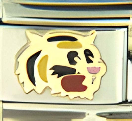 Black and Yellow Tiger Head