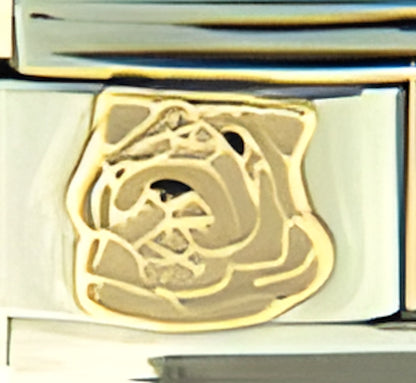 Beige Bull Dog