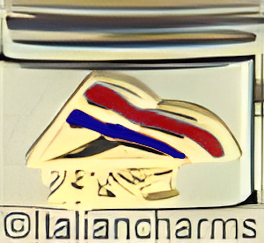 Blue and Red Hang Glider