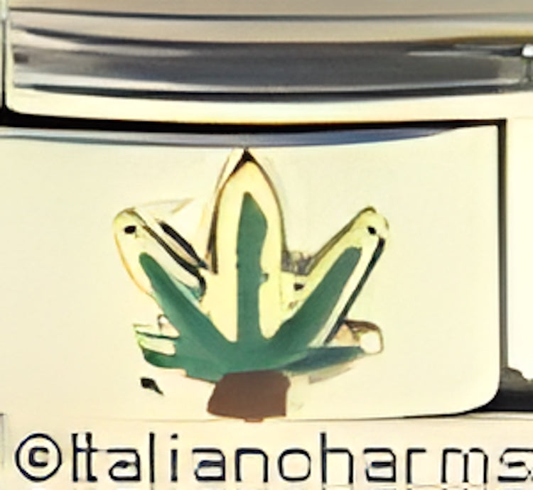Medicinal Marijuana Leaf