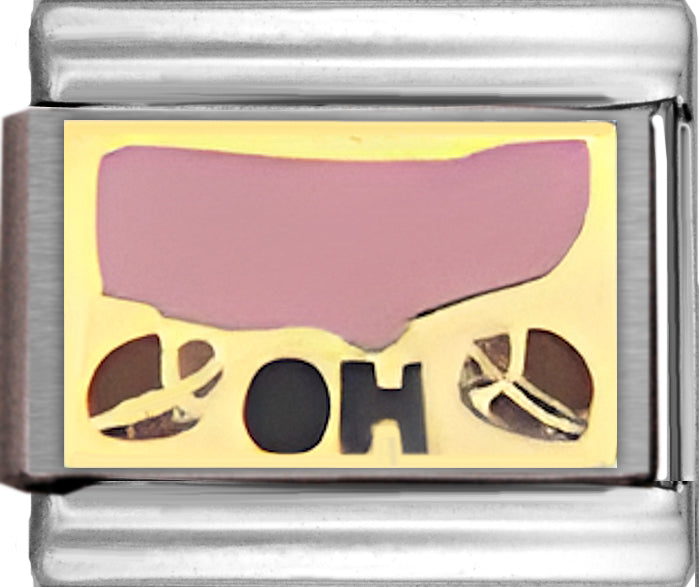 Pink Ohio Outline with OH on Gold