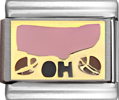 Pink Ohio Outline with OH on Gold
