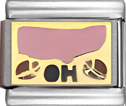 Pink Ohio Outline with OH on Gold