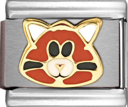 Orange Cat Face